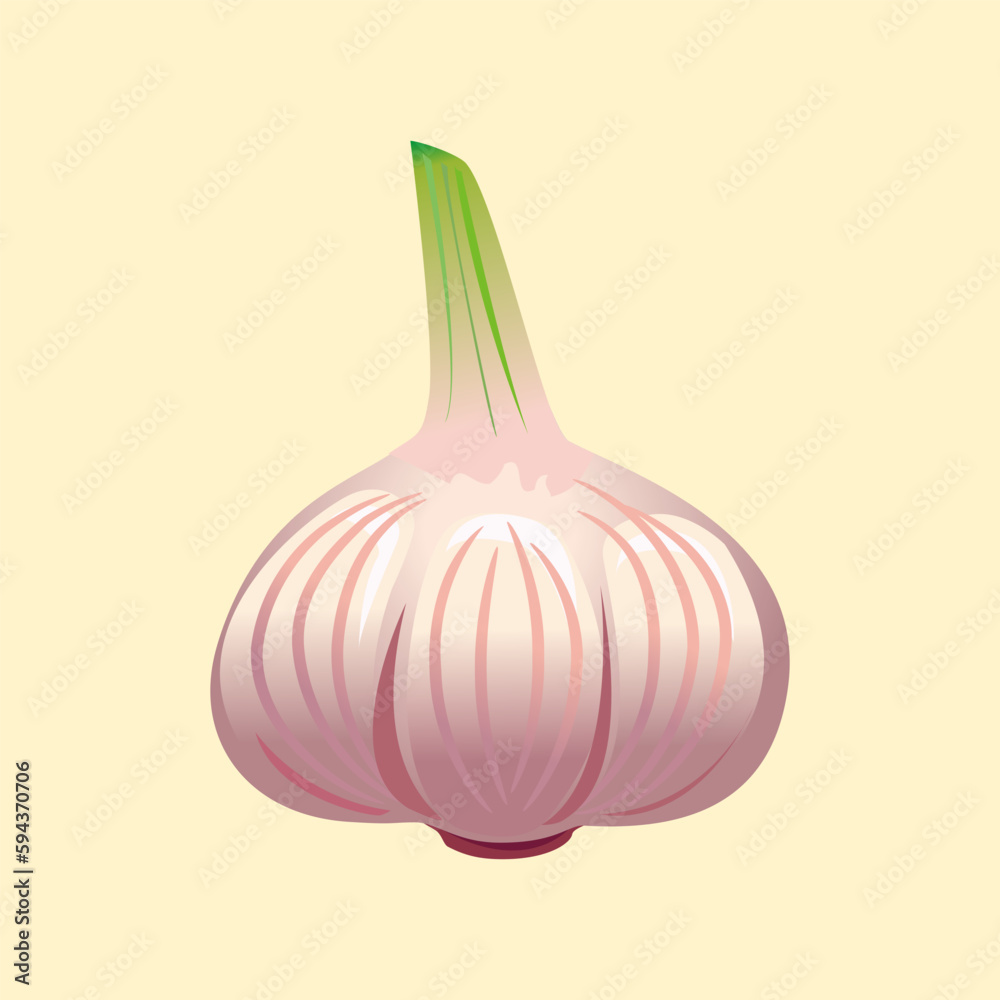 Realistic bright garlic vector illustration