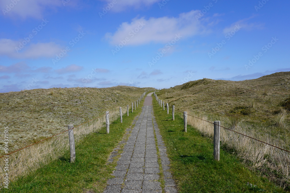 Weg durch die Dünen auf der Insel Texel in Holland