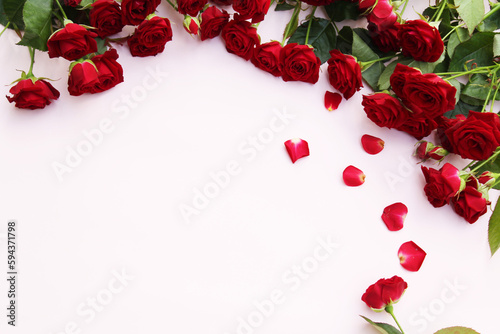red rose and petals on white