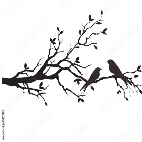 birds on a branch