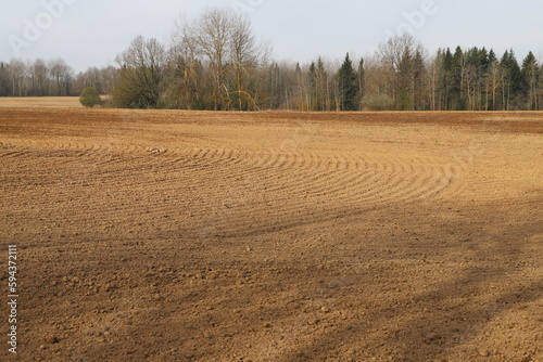 Fotografiet plowed field in the morning