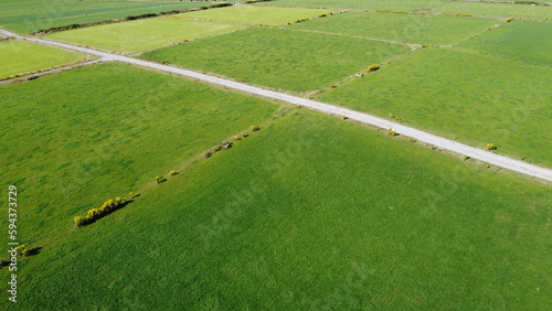 pastures in summer in Ireland, top view. Agricultural landscape. Green grass field