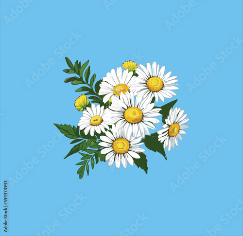 A bouquet of daisy flowers vector art.