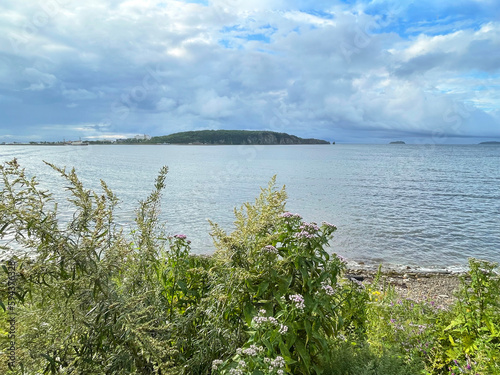 The coast of Patroclus (Patrokl) Bay in Vladivostok in summer