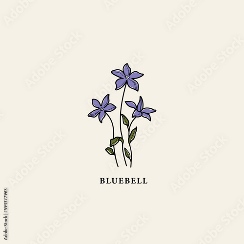 Line art Australian bluebell flower drawing