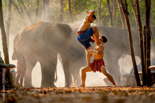 Two Asian men fight by traditional martial arts with one man stand on thigh of other man and action look like elbow beat to opponent and group of elephants on background.