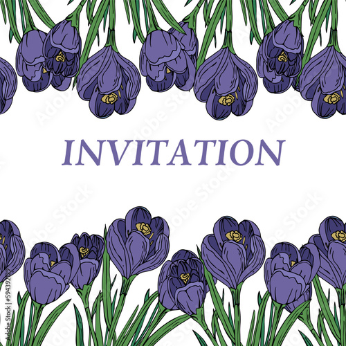 Seamless pattern a crocus with a text on an isolated background