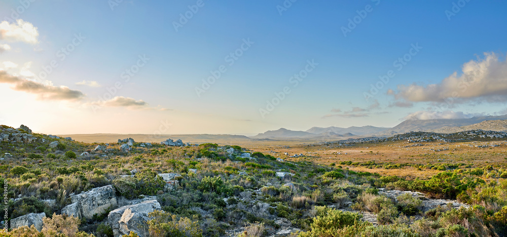 Obraz premium The wilderness of Cape Point National Park. The wilderness of Cape Point National Park, Western Cape, South Africa.