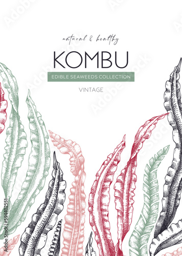 Hand drawn Kombu card design. Laminaria botanical frame. Seaweed drawing isolated on white background. Healthy food ingredients illustration. Wedding invitation template in color