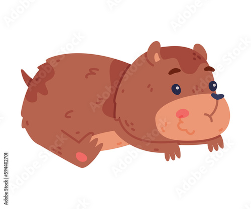 Cute Hamster Character with Stout Body Lying and Chewing Something in Cheek Pouch Vector Illustration