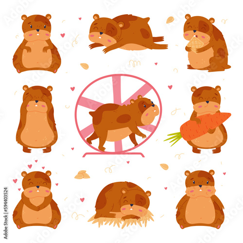 Cute hamster in everyday activities set. Funny brown pet rodent eating, sleeping and running in wheel cartoon vector illustration