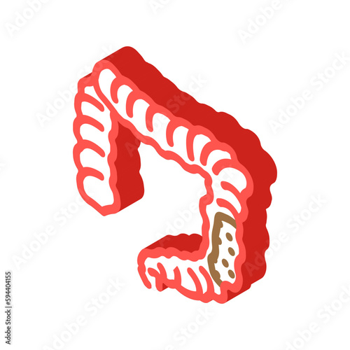 colon rectal cancer isometric icon vector illustration