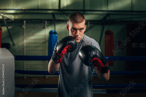 Portrait of a male caucasian boxer with boxing gloves standing in guard position © cherryandbees