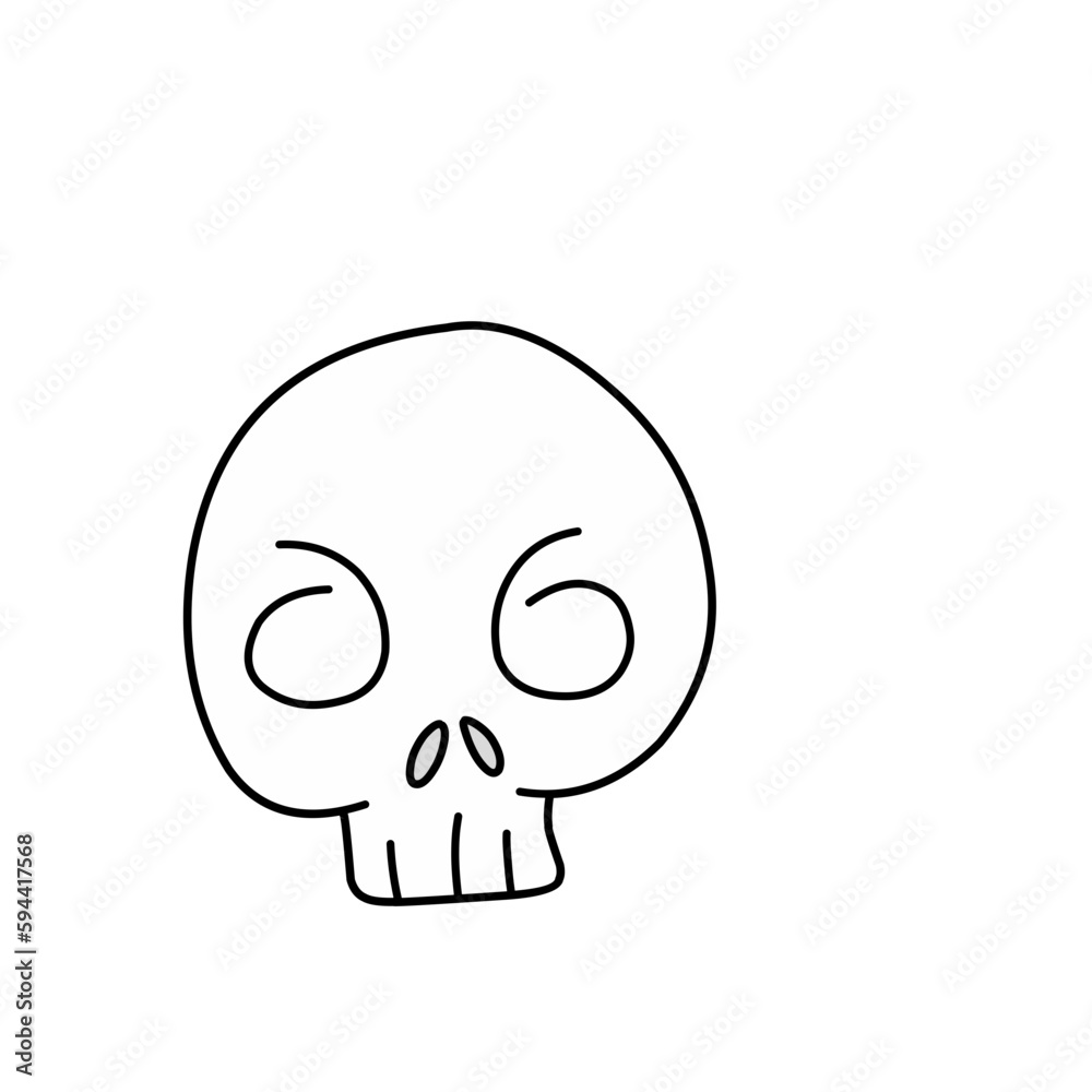 skull bone skull bone