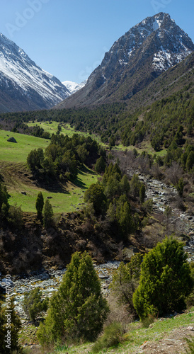 Alamedin river gorge spring mountain landscape