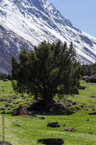 Alamedin river gorge spring mountain landscape