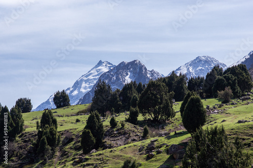 Alamedin river gorge spring mountain landscape