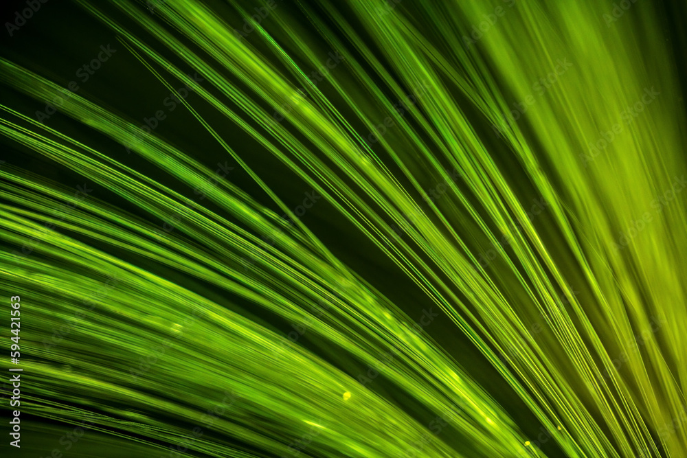 Green Fiber Optics concept Data Transfer Green Fiber Optics concept Data Transfer