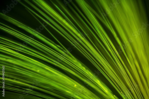 Green Fiber Optics concept Data Transfer © Birgit Reitz-Hofmann