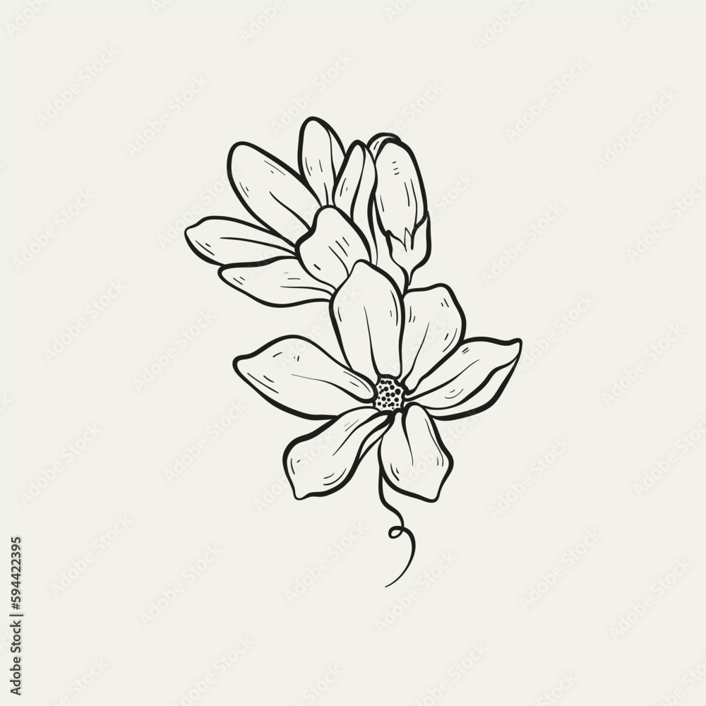 Fototapeta premium Botanical drawing. Minimal plant logo, botanical graphic sketch drawing, meadow greenery, leaf and blooming flower abstract sketch element collection, rustic branch. Trendy tiny tattoo design, floral
