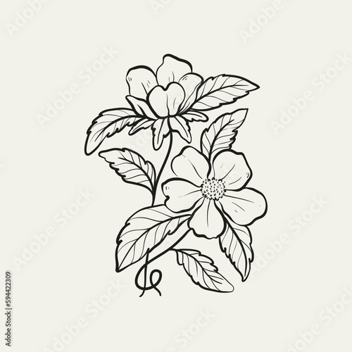 Botanical drawing. Minimal plant logo, botanical graphic sketch drawing, meadow greenery, leaf and blooming flower abstract sketch element collection, rustic branch. Trendy tiny tattoo design, floral