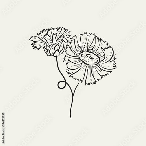 Botanical drawing. Minimal plant logo  botanical graphic sketch drawing   meadow greenery  leaf and blooming flower abstract sketch element collection  rustic branch. Trendy tiny tattoo design  floral
