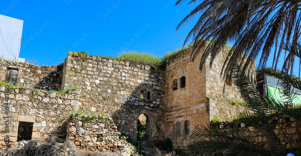 a stone building with a palm tree