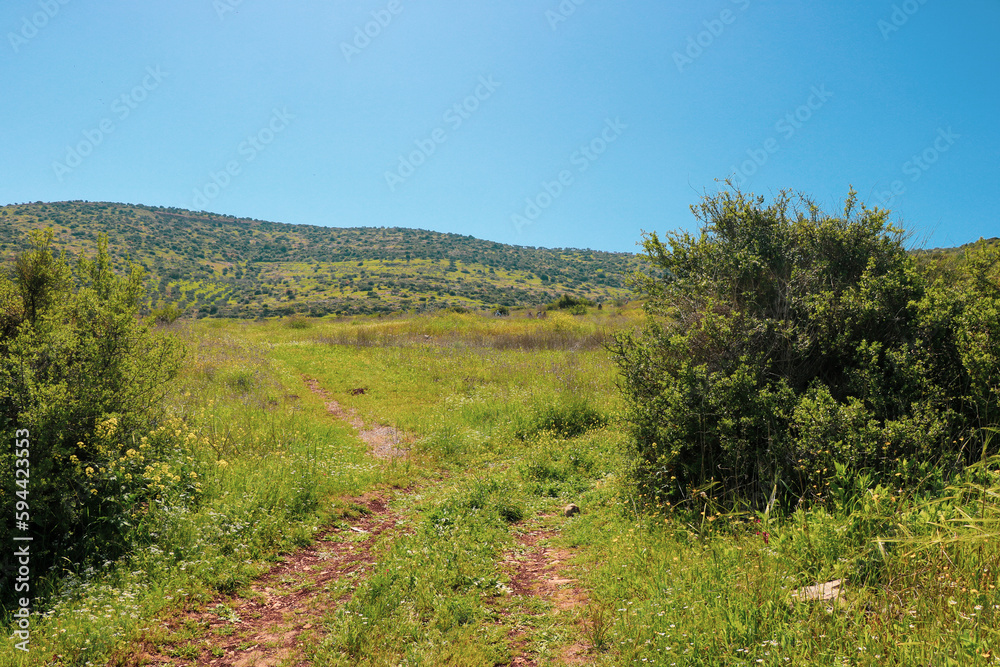 Fototapeta premium a dirt road in a grassy field with a mountain