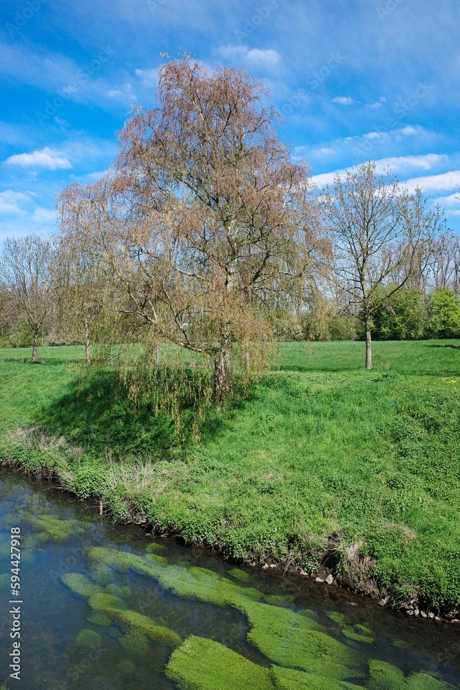 Kleiner Bachlauf in einer ländlichen Umgebung
