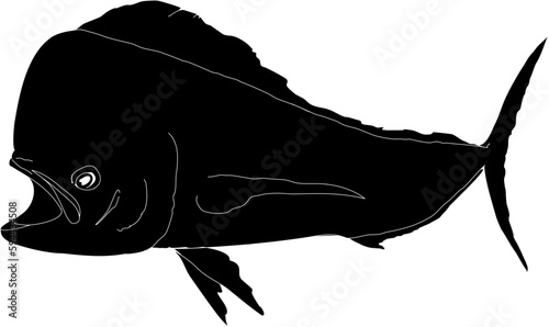 Silhouette of a hand drawn Mahi Mahi 