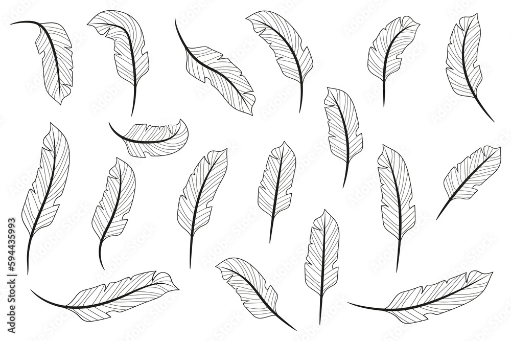 Fototapeta premium Line feather. Hand drawn feathers. Feathers isolated on white background. Feathers coloring book. Vector illustration.