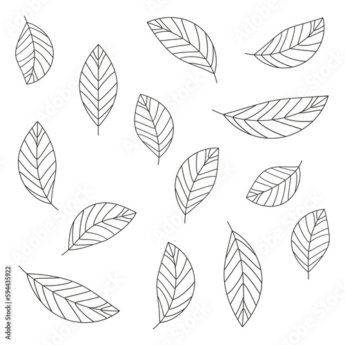The leaves are black in abstract style. Design element. Vector illustration.