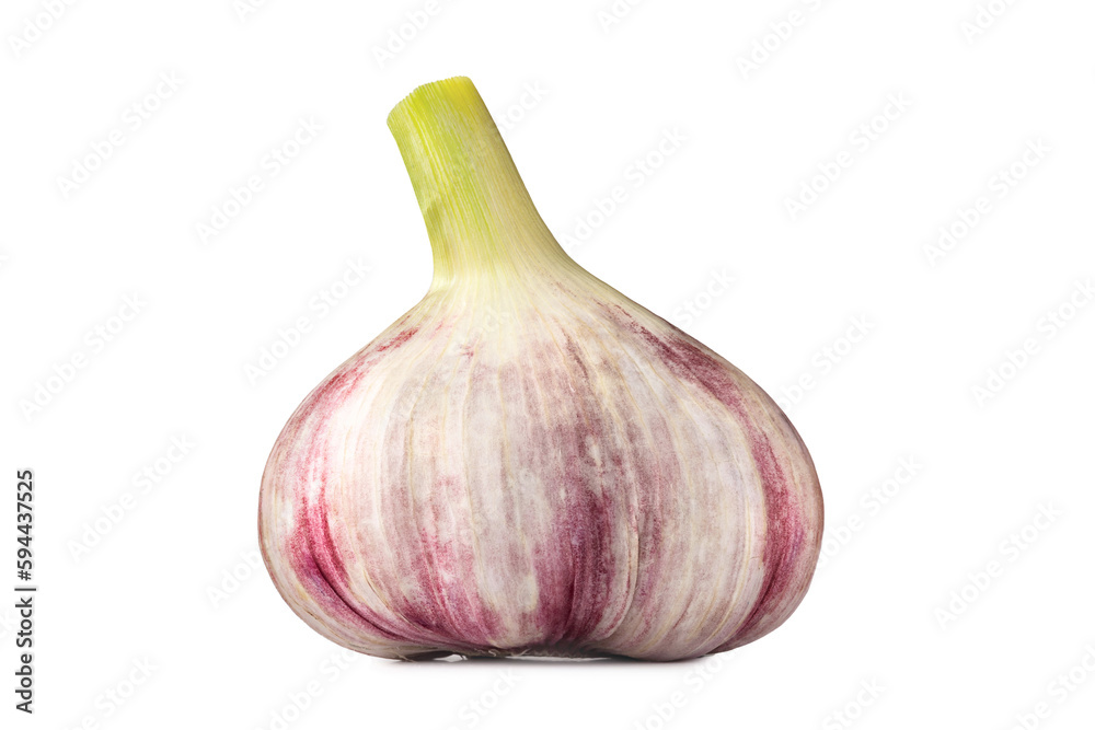 Isolated garlic. Head of garlic isolated on white