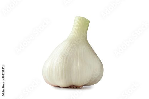 Garlic isolated. Garlic isolated on background