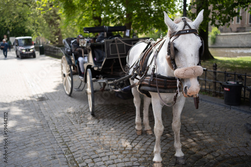horse and carriage © SimonJoschka