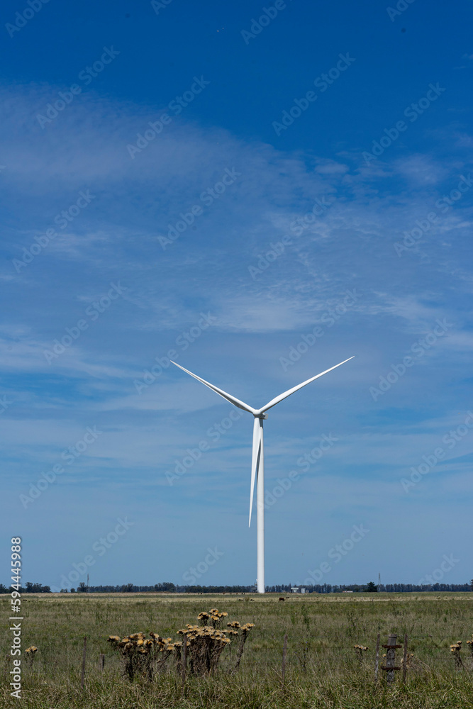 Wind turbines in the field, cows around. Wind turbines in the field, cows around.