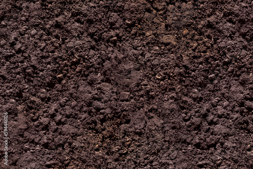 Underground soil texture for background, top view. Gardening or planting concept with copy space.