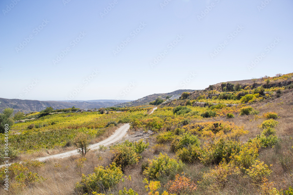 Beautiful view of the grape terraces of Cyprus Beautiful view of the grape terraces of Cyprus