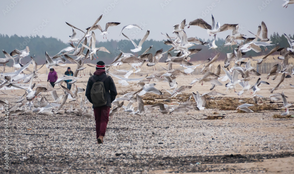 Obraz premium poland