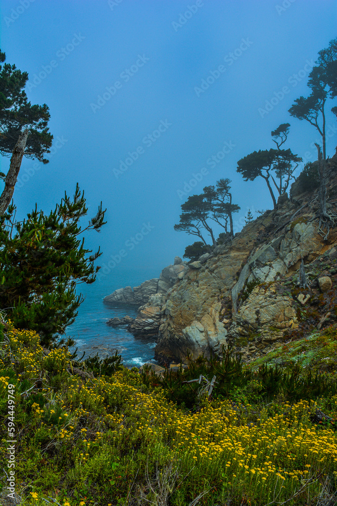 ocean shoreline with rocks and trees