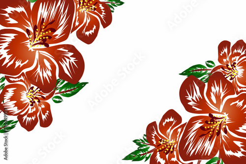 The Hibiscus rosa Malvaceae flower is widely grown as an ornamental plant with white to yellow, orange to dark red or pink colors
