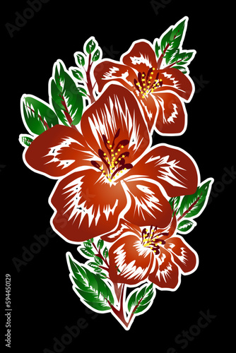 The Hibiscus rosa Malvaceae flower is widely grown as an ornamental plant with white to yellow, orange to dark red or pink colors
