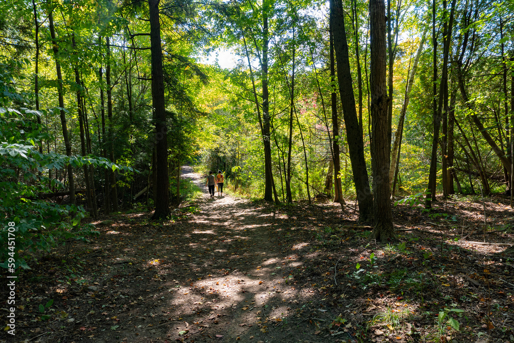 Mushroom pickers on a path in a deciduous forest Mushroom pickers on a path in a deciduous forest