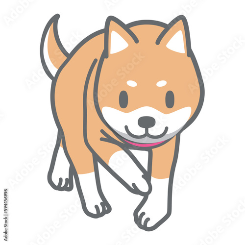 散歩する柴犬のベクターイラスト