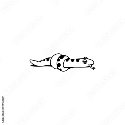 coiled snake doodle vector illustration