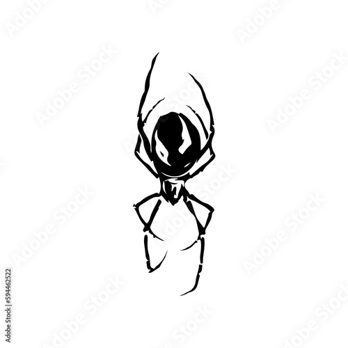 vector illustration of black spider