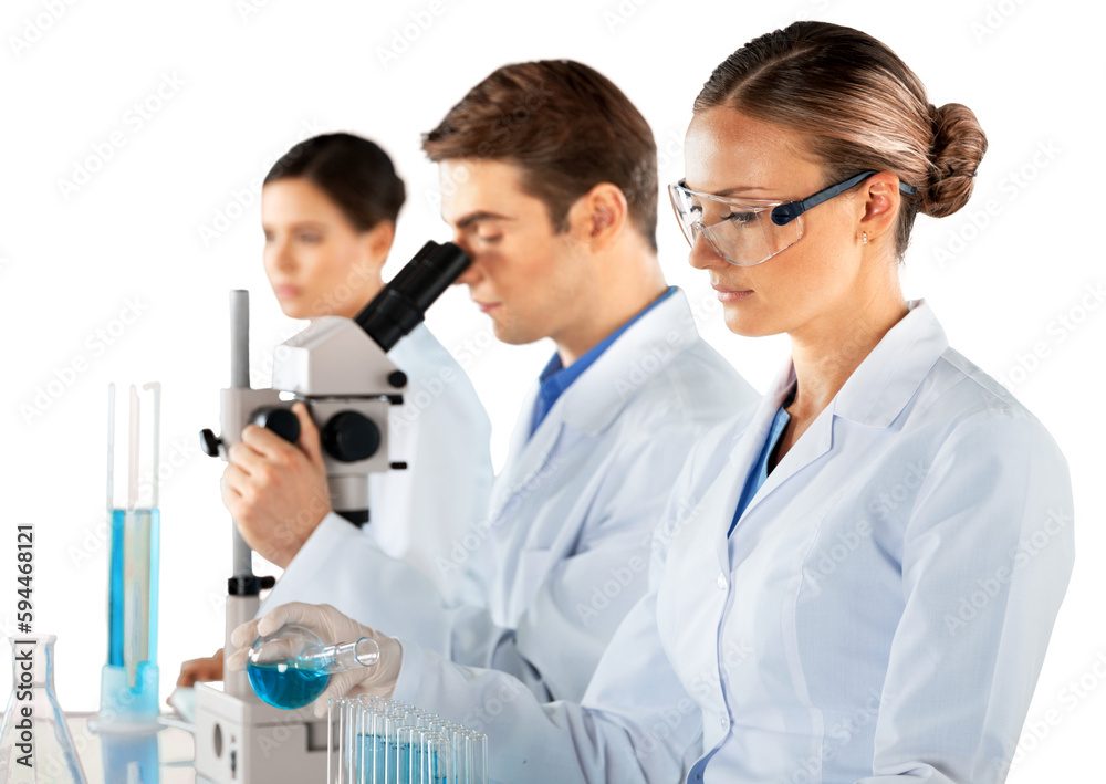 Scientists and Researcher Working Scientists and Researcher Working