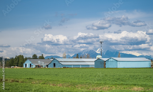 Mass production modern poultry farming sheds. Modern dairy barn against a beautiful blue cloudy sky located in BC Canada © Elena_Alex
