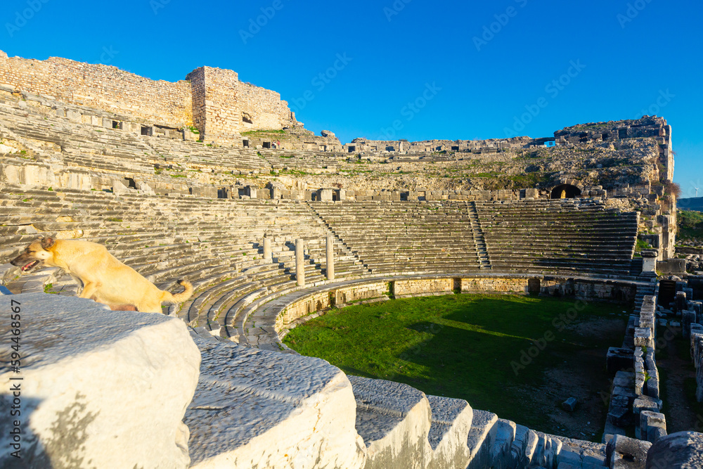 The ruins of the ancient theater of Miletus in Turkey..