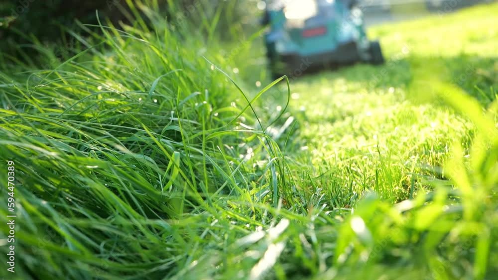 mowing the lawn on a summer sunny day.A man in blue jeans mows his front lawn. 4k footage
